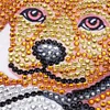 Dog Holding Football  | Crystal Rhinestone  | Full Round Diamond Painting Kits
