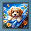Chien - perceuse ronde peinture diamant - 40*40cm