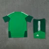 Algeria 26-27 Short-sleeve Tracksuit  Green Chandal  