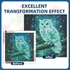 Diamond Painting -DIY Round Drill Fluorescent Owl(40x40cm)