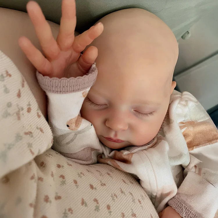 [Heartbeat💓 & Breath] 20" Sleeping Reborn Baby Doll Gift for Kids, Realistic Reborn Baby Girl with Lifelike Sweet Face and Tiny Limbs Named Theodosia