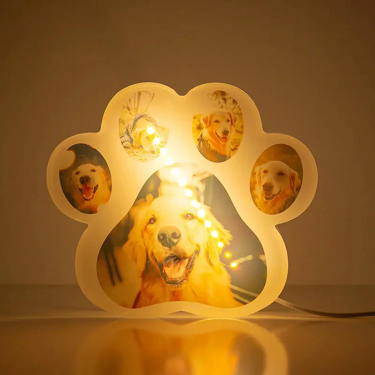 Custom Photos Dog Paw Shape Acrylic 3D LED Night Lights