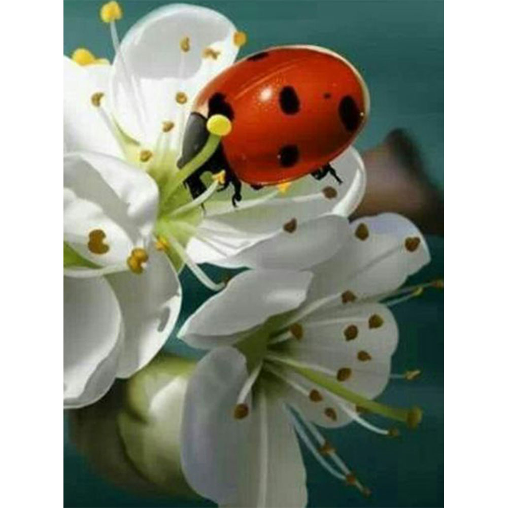 

(Multi-Size) Flower - Round/Square Drill Diamond Painting, Round diamond 30*40cm, 501 Original