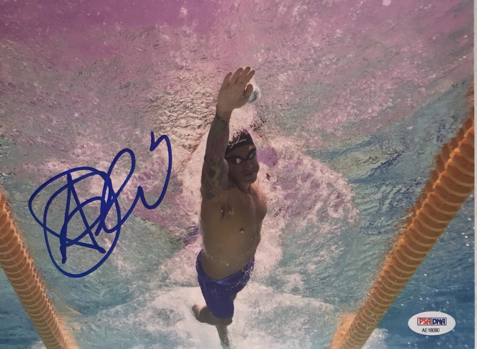 Anthony Ervin Signed Autographed USA Rio Olympics Gold Medal 8x10 Photo Poster painting Psa/Dna