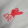 24/25 Liverpool Soccer Jersey Second Away