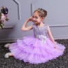 Girl Ceremonies Dress Wedding Party Birthday Gown Vestidos Tutu Dress - honeylives