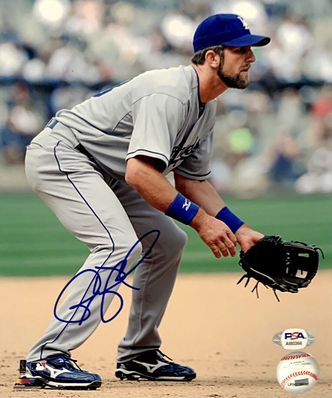 Casey Blake Signed Los Angeles Dodgers 8x10 Photo Poster painting PSA AI80366