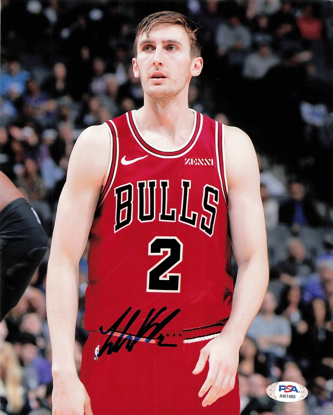 LUKE KORNET Signed 8x10 Photo Poster painting PSA/DNA Chicago Bulls Autographed