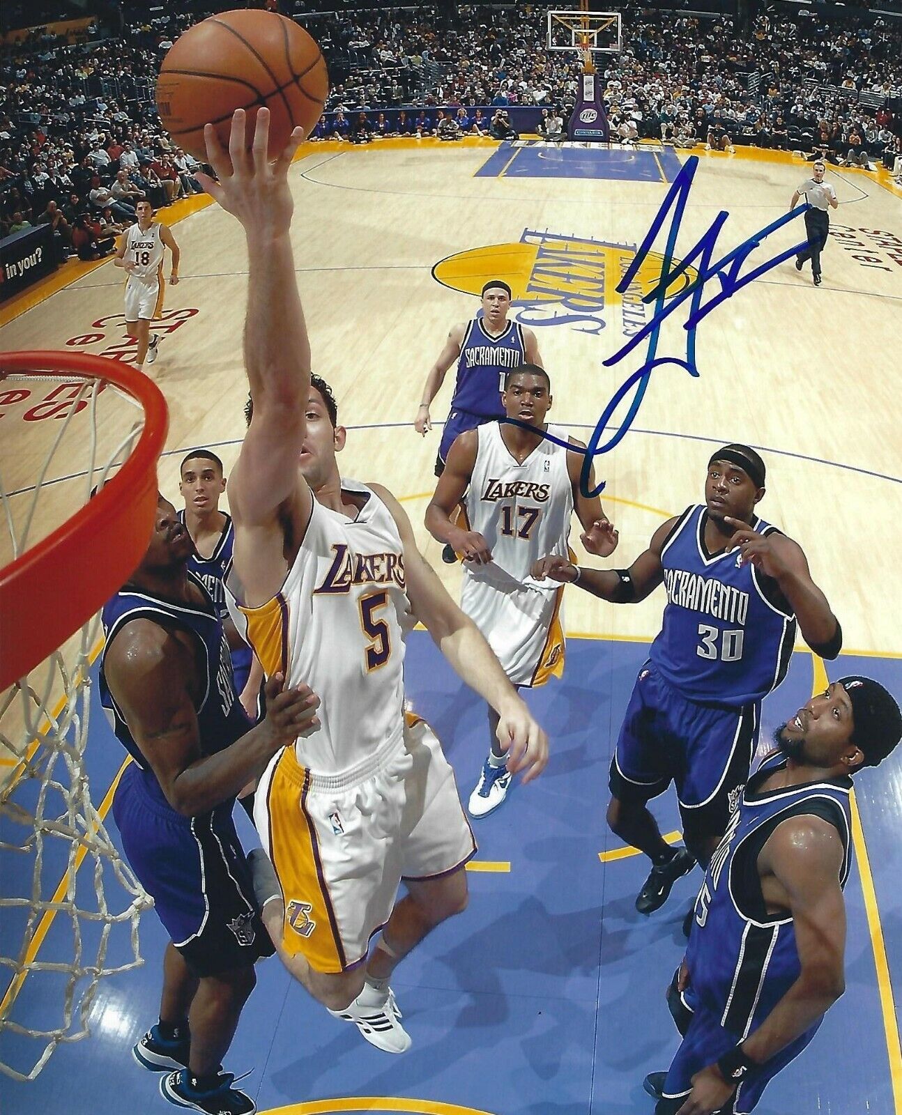 Jordan Farmar Signed 8x10 Photo Poster painting Lakers Basketball Picture Autograph UCLA Bruins