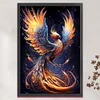 Colorful Phoenix-11CT Stamped Cross Stitch 40*60cm(Big Size)
