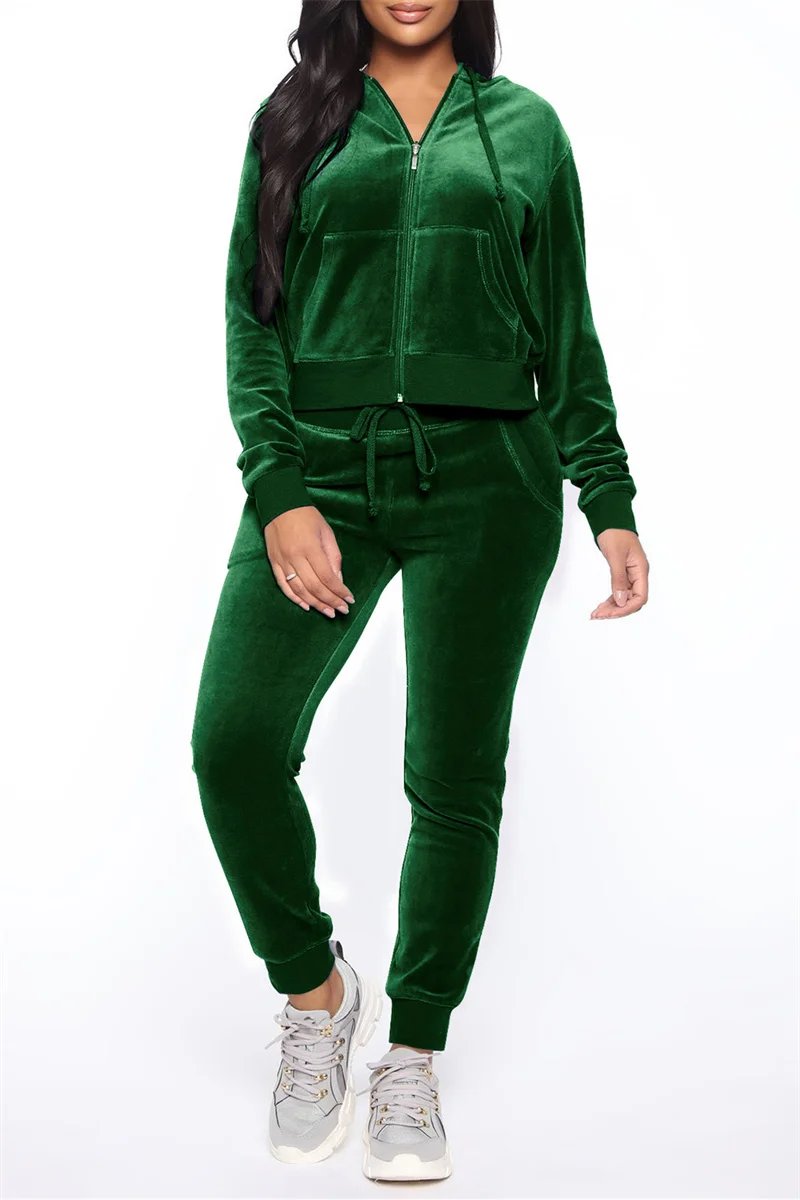 Ink Green Fashion Casual Solid Zipper Hooded Collar Long Sleeve Two Pieces | EGEMISS