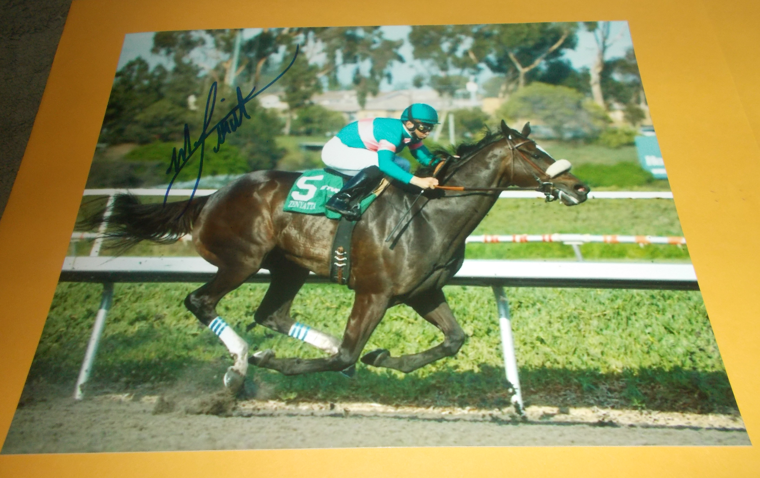 MIKE SMITH ZENYATTA 2010 LADY'S SECRET STAKES SIGNED 8x10 HORSE RACING Photo Poster painting