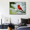 Red Bird   | Full Round Diamond Painting Kits