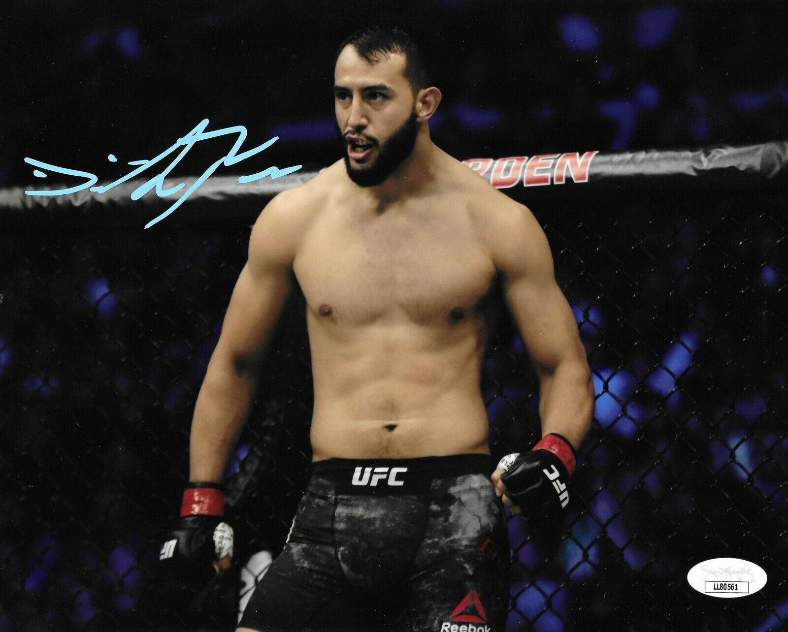 Dominick Reyes Autographed 8x10 Photo Poster painting Photo Poster painting JSA COA UFC The Devastator Signed