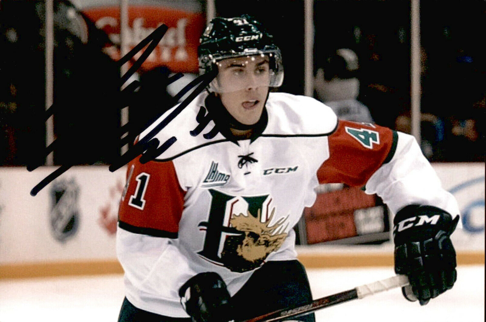 Maxime Fortier SIGNED autographed 4x6 Photo Poster painting HALIFAX MOOSEHEADS / BLUE JACKETS #2