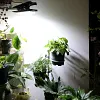 💡Lampe solaire d'ext&eacute;rieur &agrave; clipser avec d&eacute;tecteur de mouvement💡