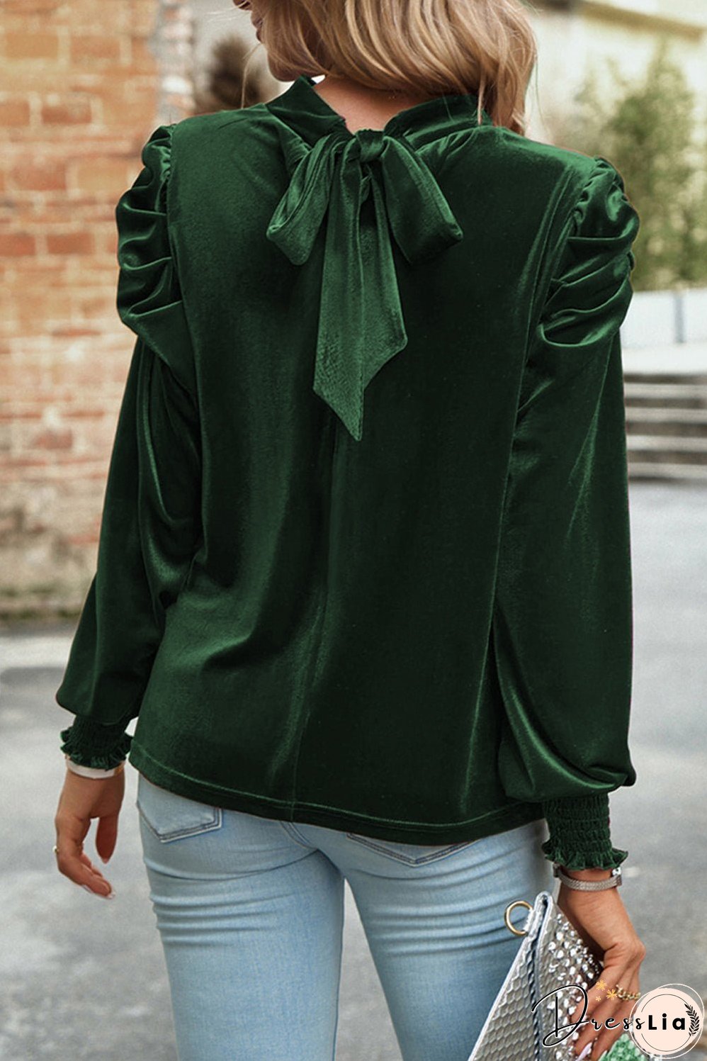 Tie Up Mock Neck Velvet Fabric Long Sleeve Blouse