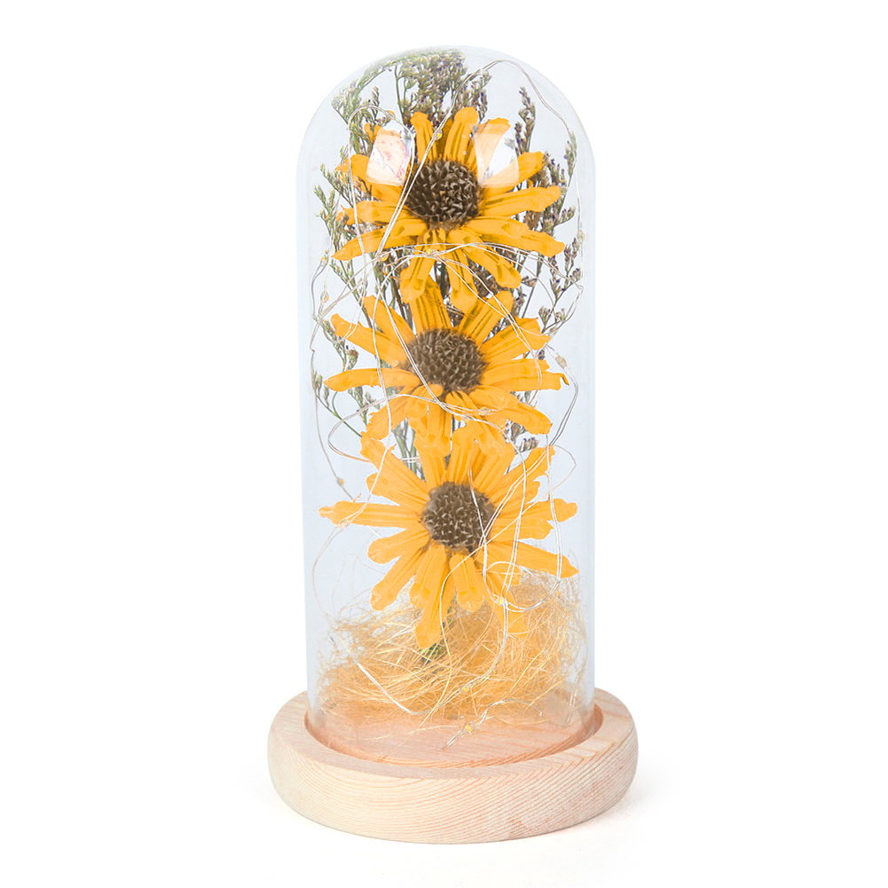 Dried Sunflower in Glass Dome with Warm Yellow String Night Light (Yellow)
