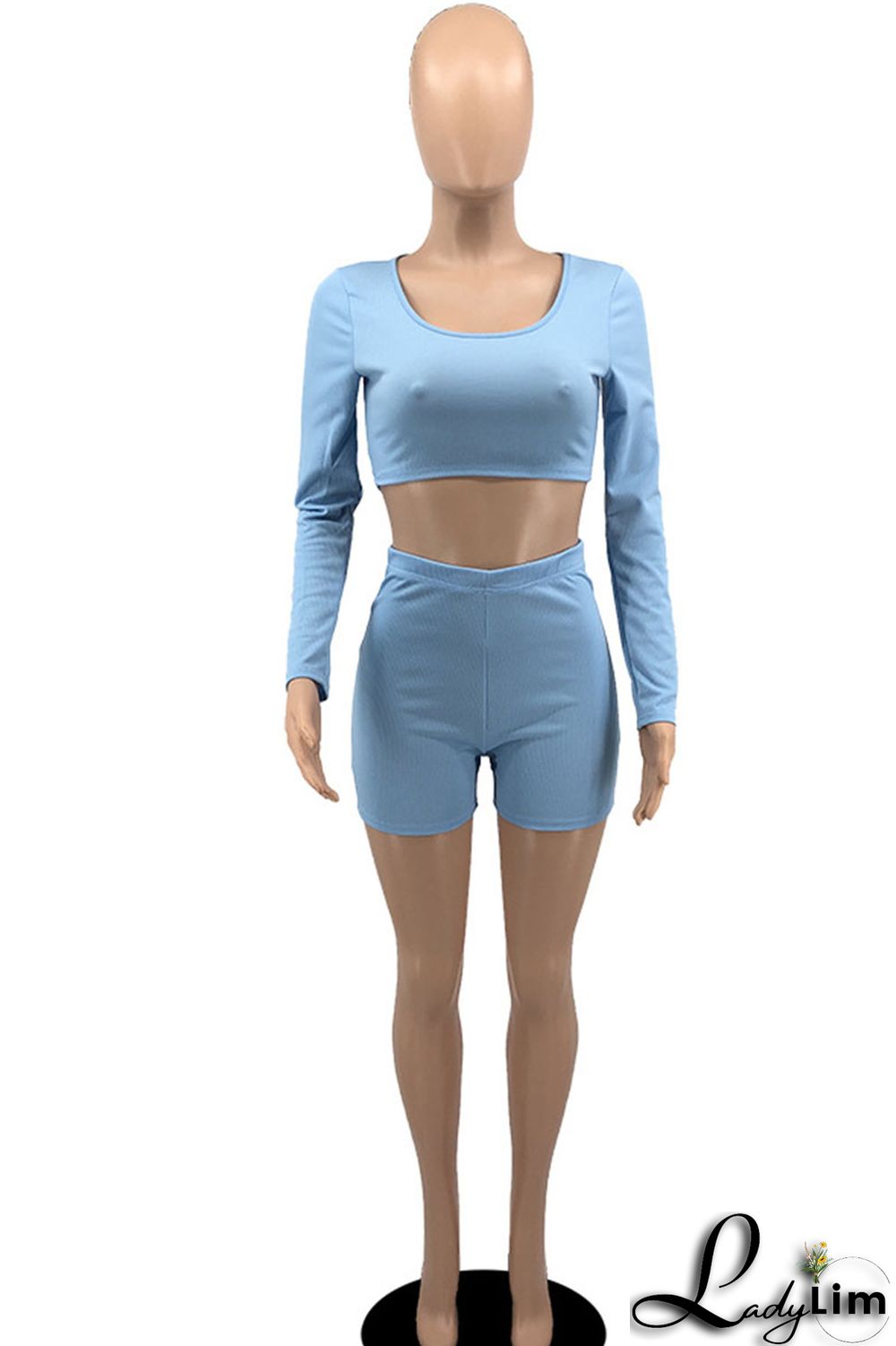 Sky Blue Casual Solid Patchwork O Neck Long Sleeve Two Pieces