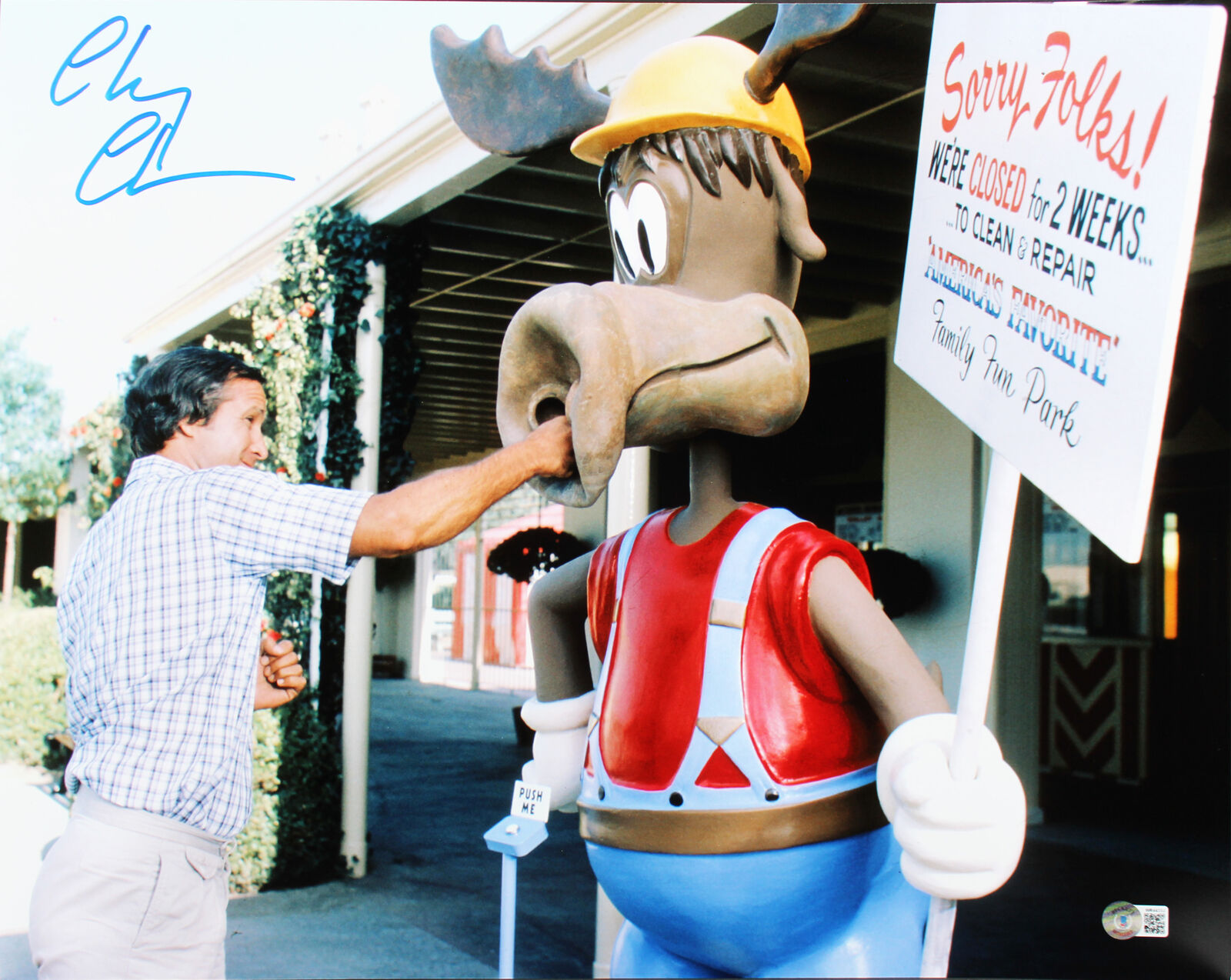 Chevy Chase National Lampoon's Vacation Signed 16X20 Photo Poster painting BAS Witnessed