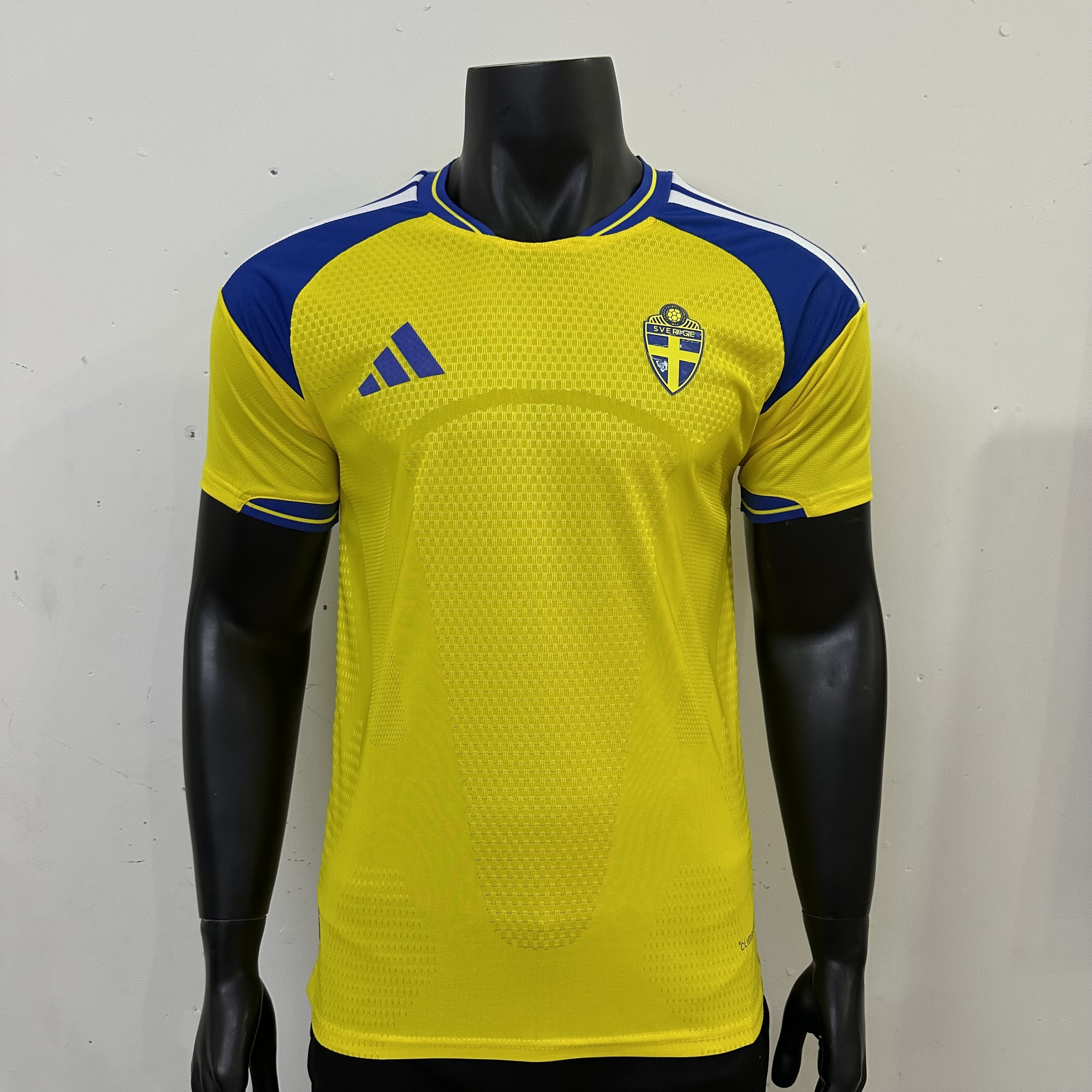 2026/2027-SWE-H-PV-FJ-Y0002