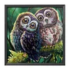 >SALE<48x48cm 11CT Cross Stitch Kit Stamped Canvas Needlework Owl Birds (CXB158)