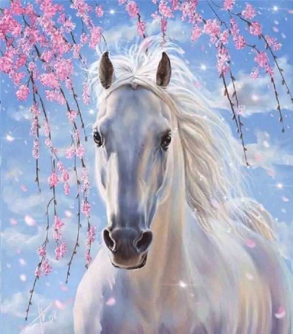 

White Horse with Flowers – Paint By Numbers - 40*50CM, 501 Original