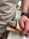 Does not hurt hands-Oyster shucking clamp