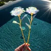 Cadeau color&eacute; de fleur de cristal de rose de galaxie pour la f&ecirc;te des m&egrave;res- pour la f&ecirc;te des m&egrave;res