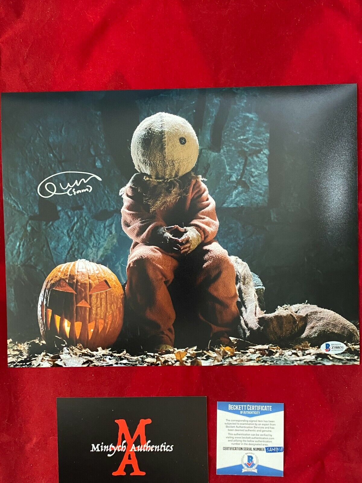 QUINN LORD TRICK 'R TREAT AUTOGRAPHED SIGNED 11x14 Photo Poster painting! BECKETT! HORROR! SAM!