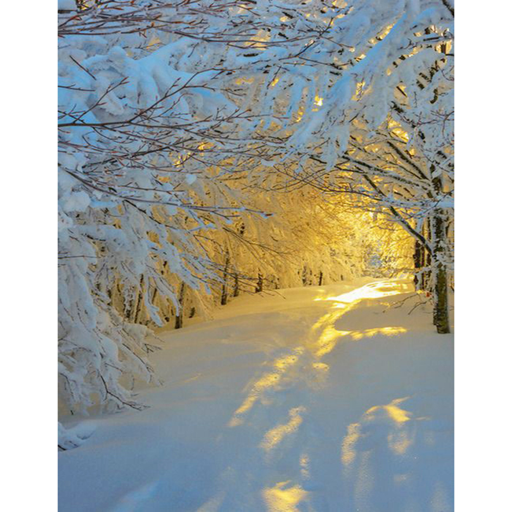 Красивая природа февраль. Зима. Снежная зима. Солнечный зимний день. Зимний пейзаж.