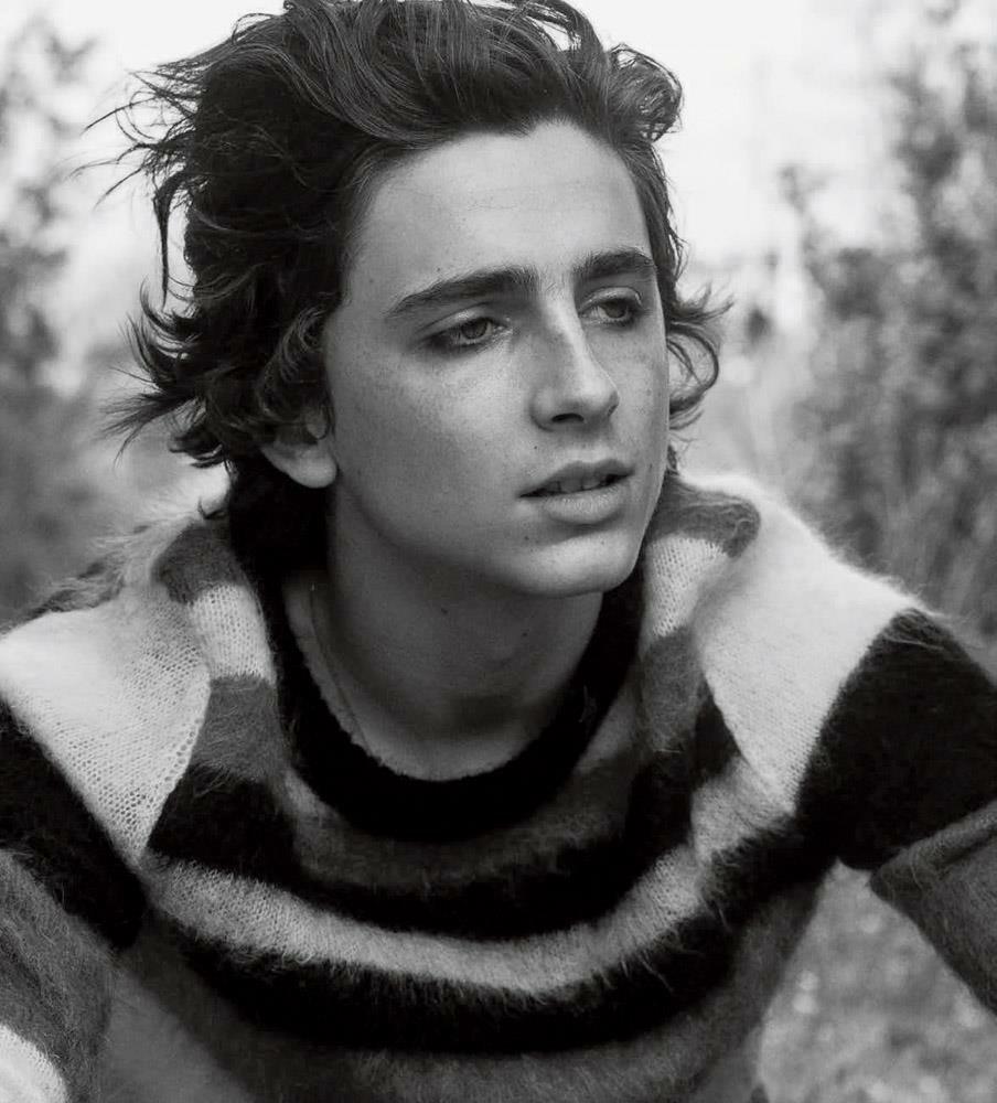 Timothee Chalamet 8x10 Picture Simply Stunning Photo Poster painting Gorgeous Celebrity #100