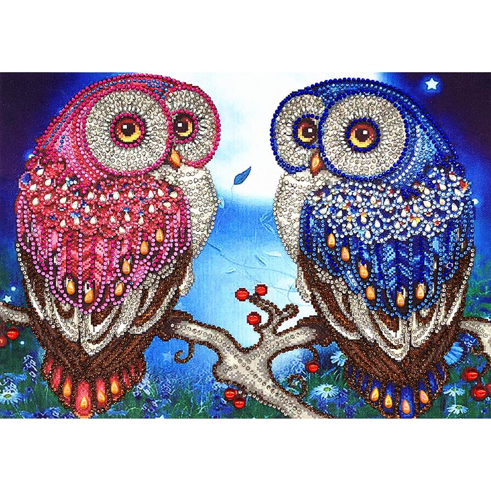 2 Owls 30x40cm(canvas) beautiful special shaped drill diamond painting