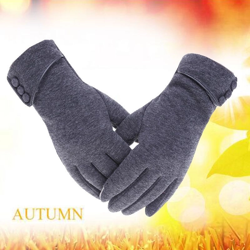 Touch Screen Gloves Women’s Outdoor Sports Cycling Driving Warm Gloves Lint-free Autumn And Winter Gloves