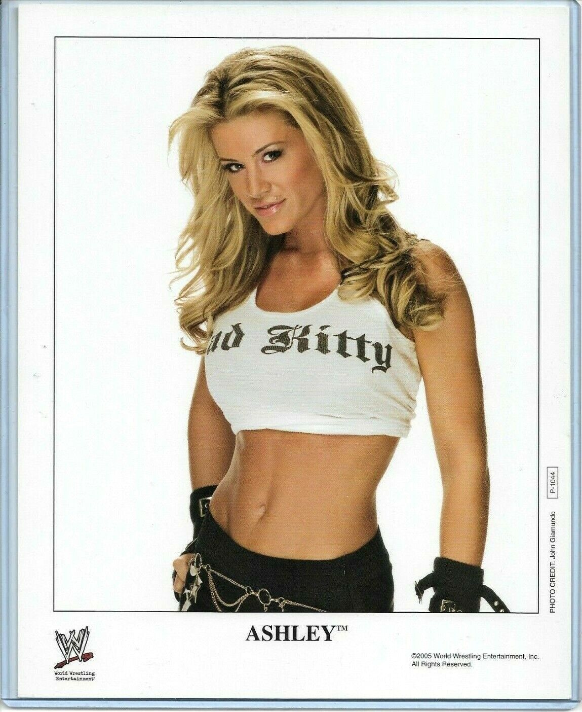 WWE ASHLEY MASSARO P-1044 OFFICIAL LICENSED AUTHENTIC ORIGINAL 8X10 PROMO Photo Poster painting