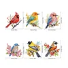 (US Local)6Pcs Acrylic Bird Diamond Painting Art Fridge Magnet for Car Mailbox Decor