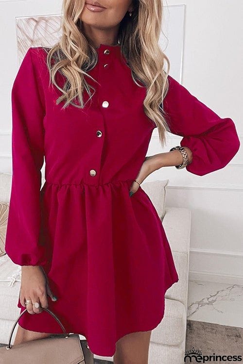 Button Hgih Collar Long Sleeve Mini Dress
