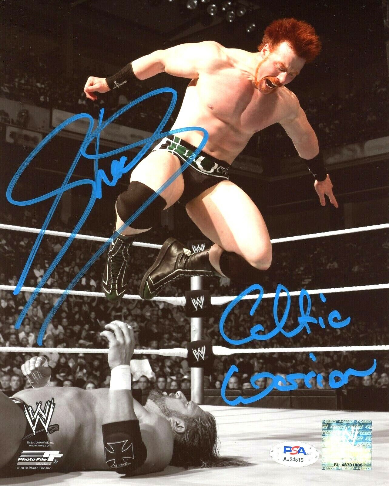 WWE SHEAMUS HAND SIGNED AUTOGRAPHED 8X10 Photo Poster painting WITH PROOF AND PSA DNA COA 3