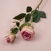 Autumn Vibe 2 Heads Burn Edge Stem Rose Artificial Flower