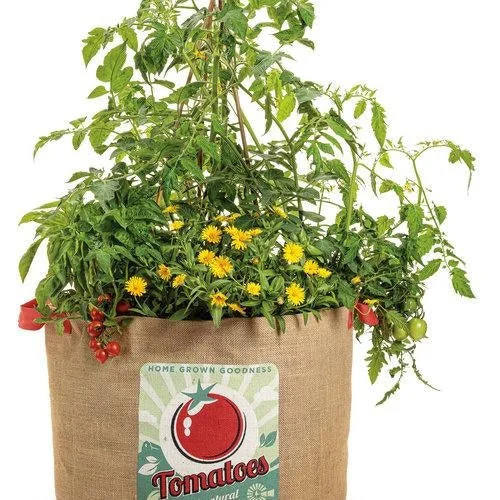 Tempting Tomatoes - Goodhearted