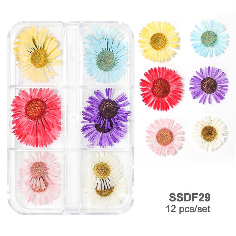 Levelloam 12 Grids 3D Dried Flowers Nail Art Decoration Decals Natural Floral Sticker Designs Dry Flower Decals DIY Manicure Accessories