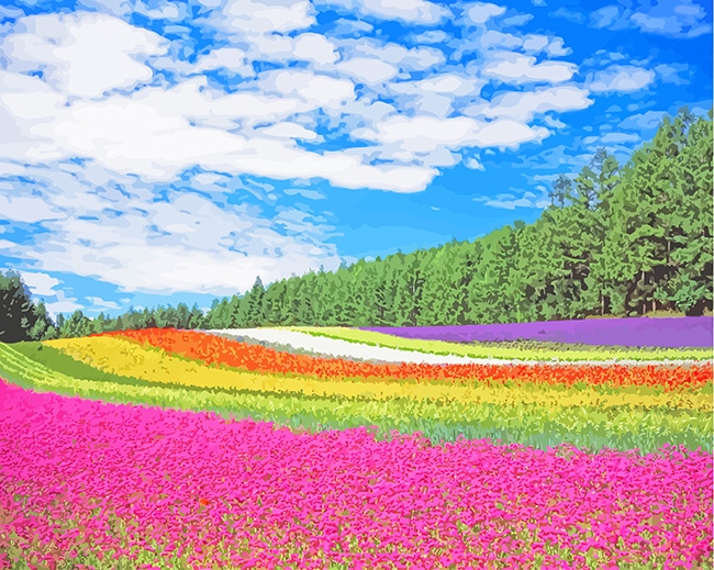 

Hokkaido Garden – Paint By Numbers - 40*50CM, 501 Original