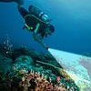 LED Dive Light Waterproof Scuba Diving Flashlight Underwater Light for Diving