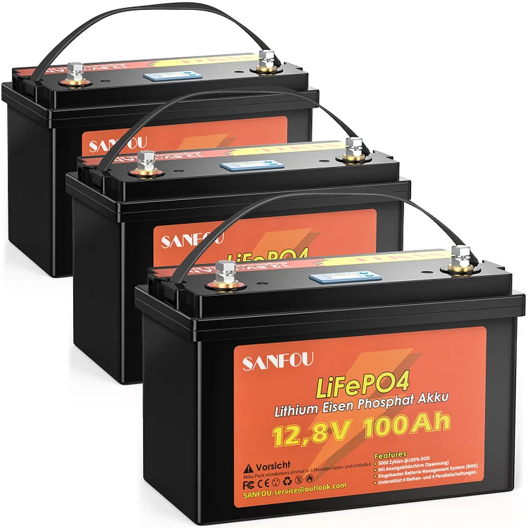 SANFOU 12.8 V 100 Ah LiFePO4 Battery Pack 3