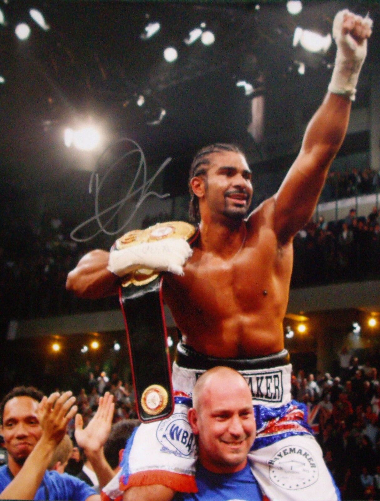 DAVID HAYE SIGNED 16x20