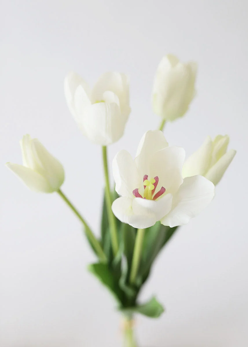 Bundle of 5 Real Touch White Tulips - 22"