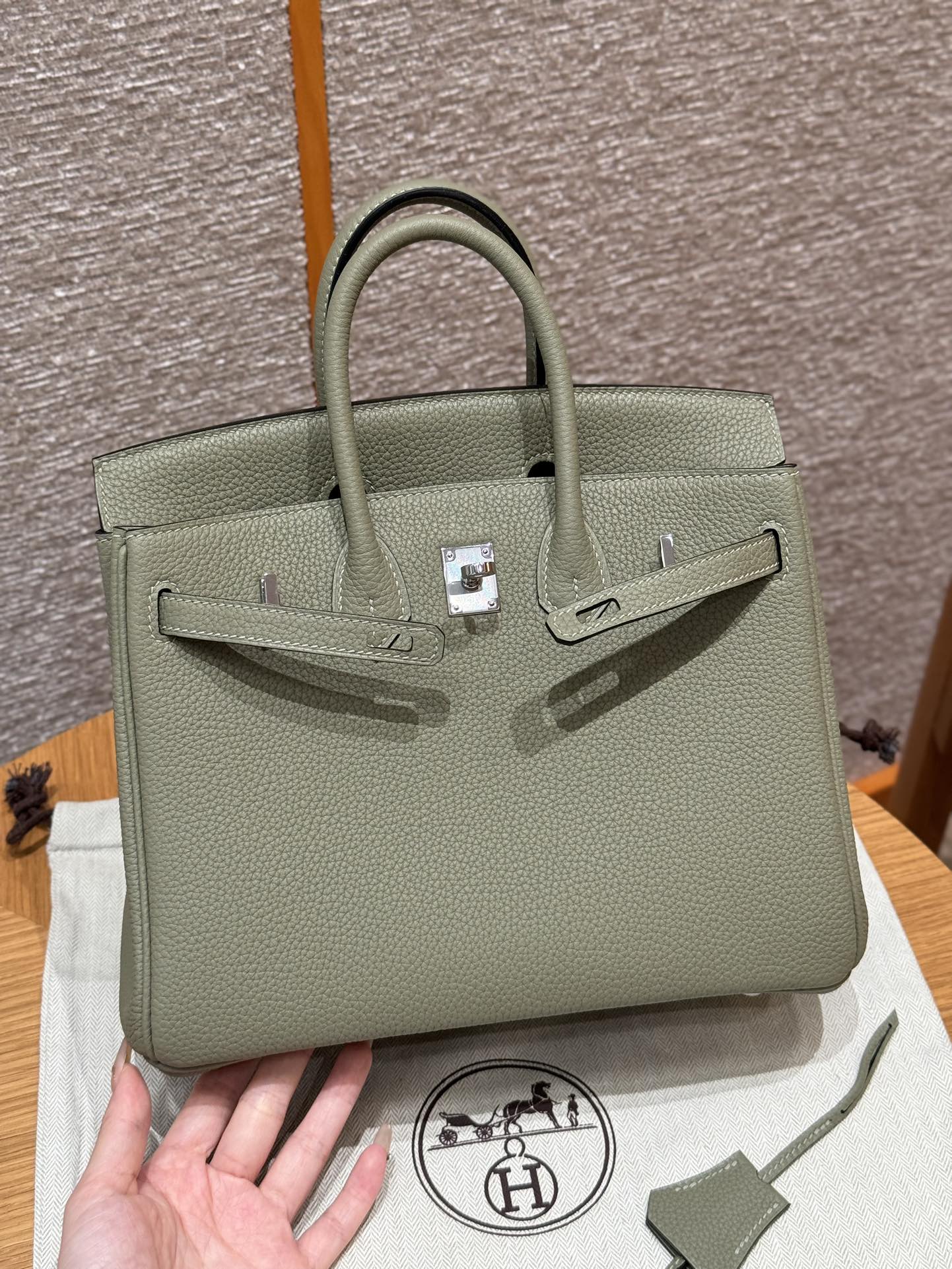 Hermes Birkin Bag 25cm in Green Silver Hardware