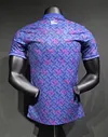 2024/2025 Player Edition Chelsea Joint Special Edition Football Jersey 1:1 Thai Quality