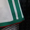 Joyfball 2026 Player Version Algeria National Team Home Football Shorts