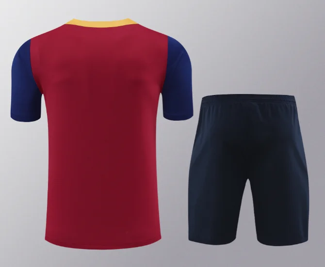 24/25 Barcelona Training Kit Short Sleeve Red Football Shirt Thai Quality
